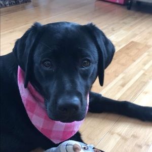 Meet your Posher, Kate